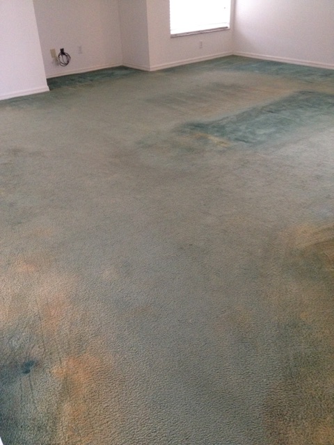 FULL COLOR CARPET DYEING - BEFORE