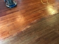 WOOD FLOOR CLEANING - DURING