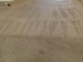 CARPET CLEANING - DURING