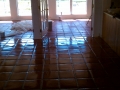 TERRACOTTA TILE CLEANING & SEALING