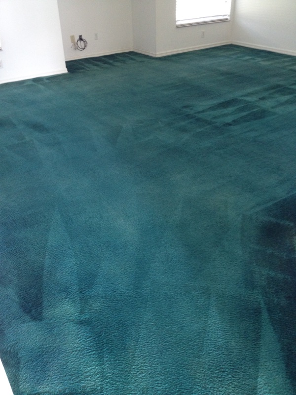 FULL COLOR CARPET DYEING - AFTER