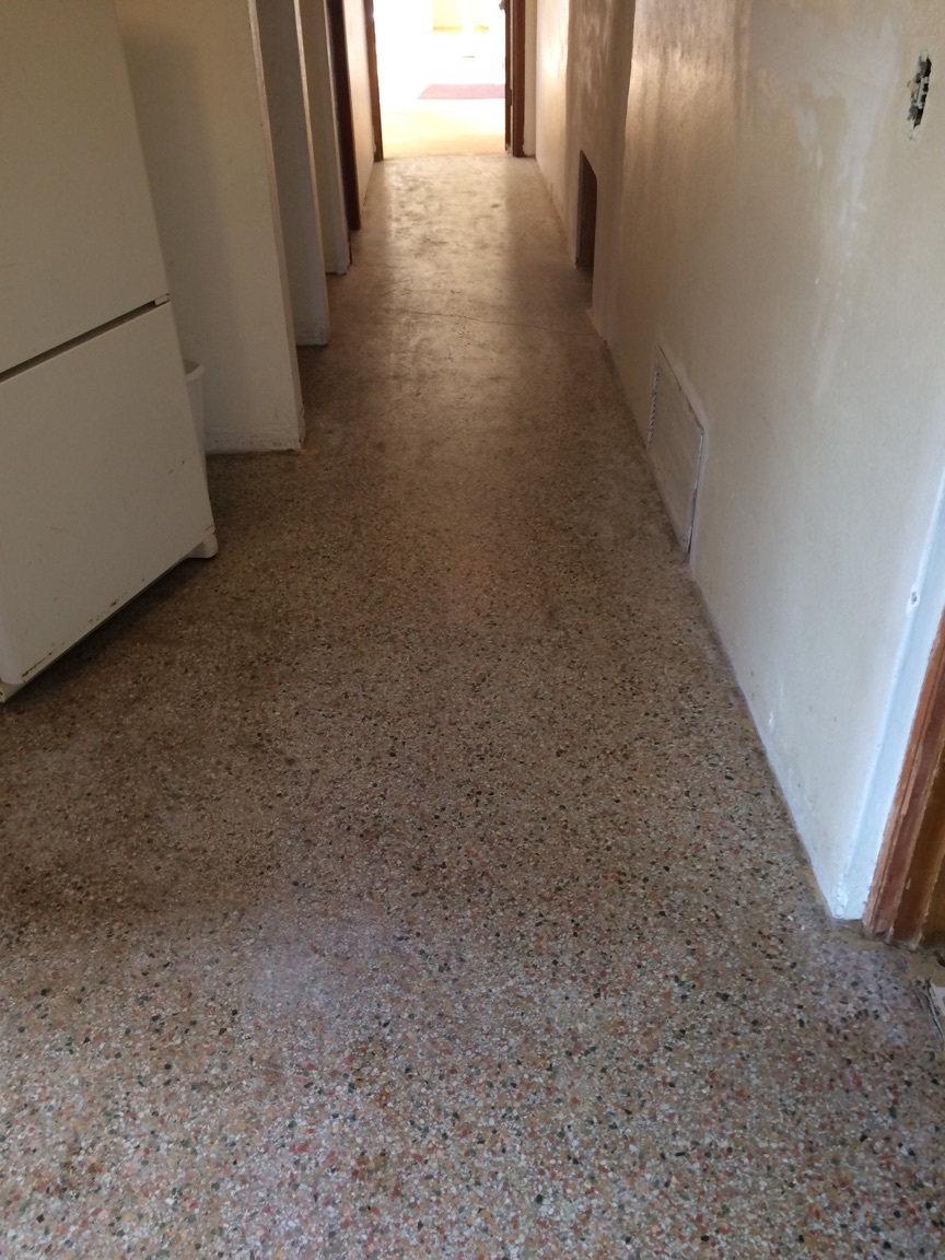 TERRAZZO CLEANING & SEALING - BEFORE
