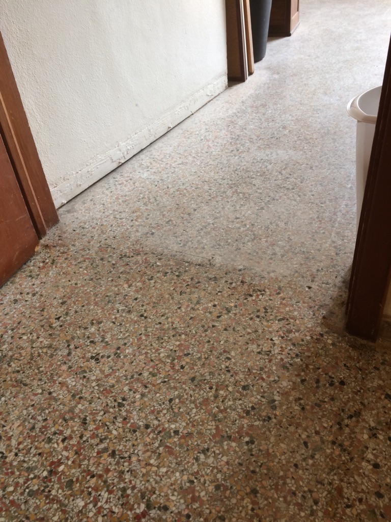 TERRAZZO CLEANING - BEFORE & AFTER