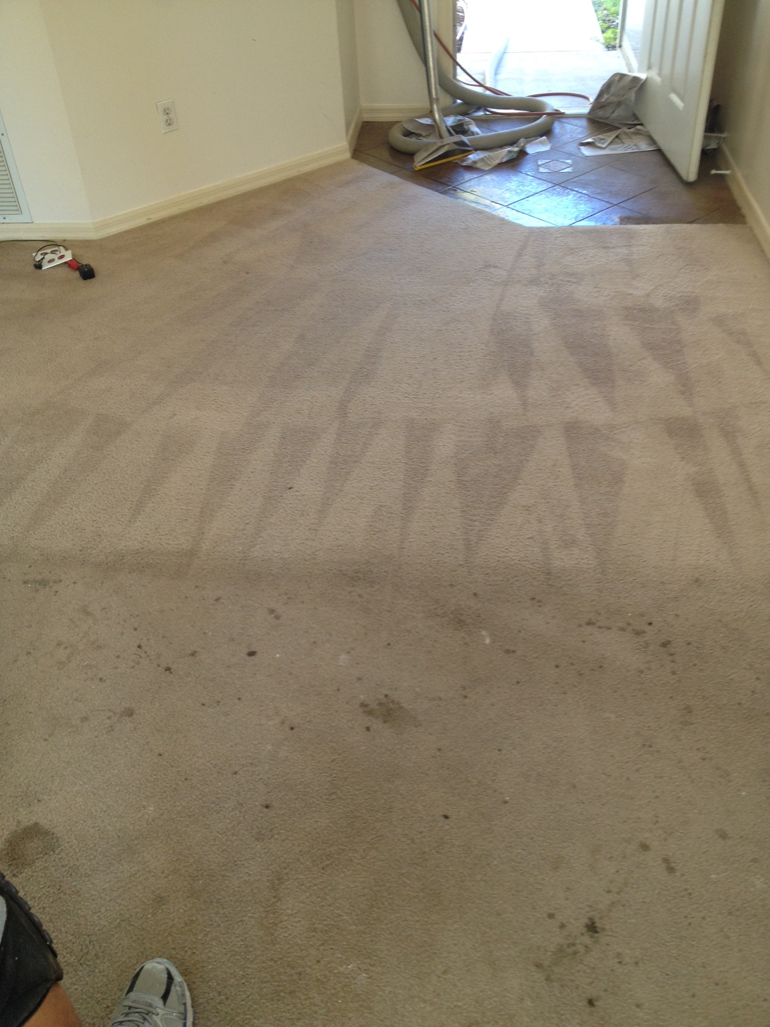 CARPET CLEANING - DURING