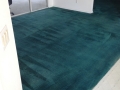 FULL COLOR CARPET DYEING - AFTER