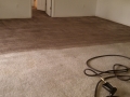 CARPET DYEING - DURING